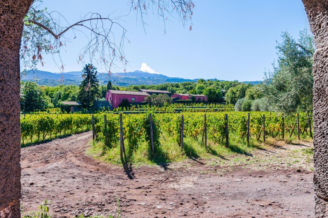 Terrazze Dell'Etna - Country Rooms And Apartments Randazzo Exterior foto