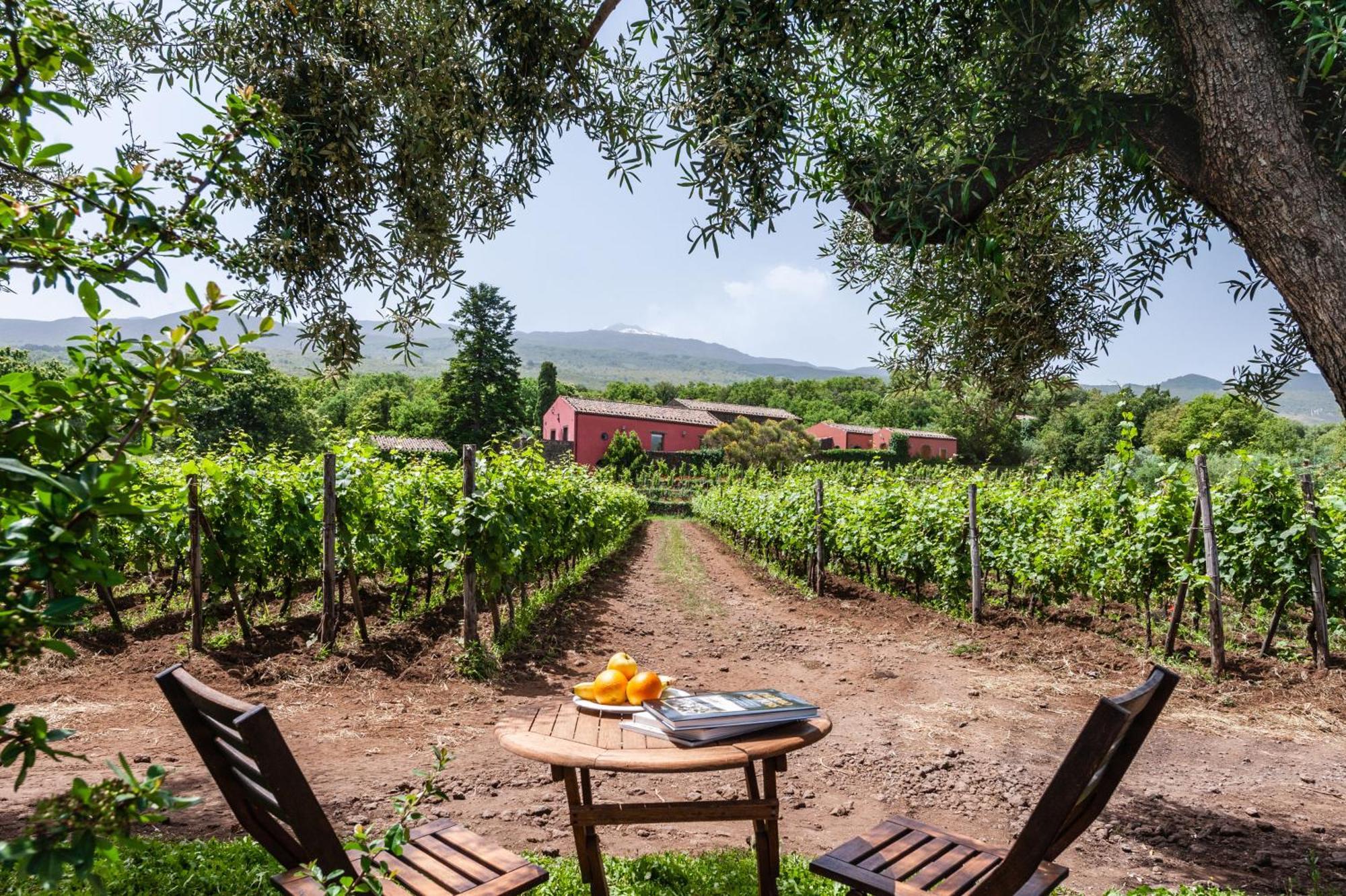 Terrazze Dell'Etna - Country Rooms And Apartments Randazzo Exterior foto